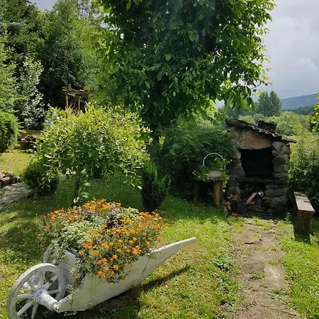 Na Stawach